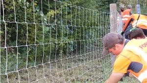Arbeiter beim Zaunbau