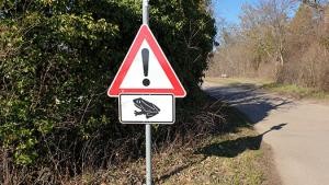 Verkehrsschild "Vorsicht Krötenwanderung"