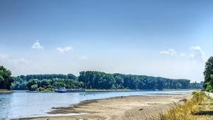Niedrigwasser am Rhein
