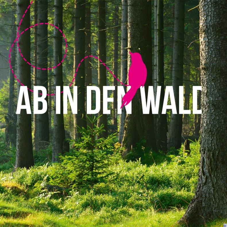 Bild des Waldbox-Anhängers