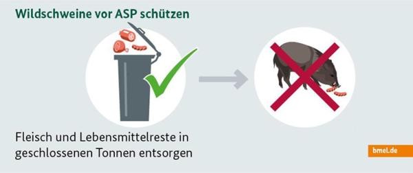 Infografik Fleisch und Lebensmittelreste in geschlossenen Tonnen entsorgen