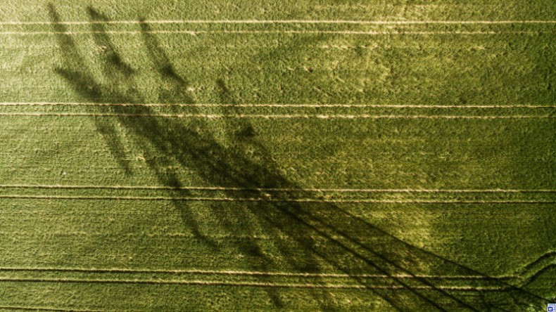 Schatten eines Strommastes auf grünem Ackerland.