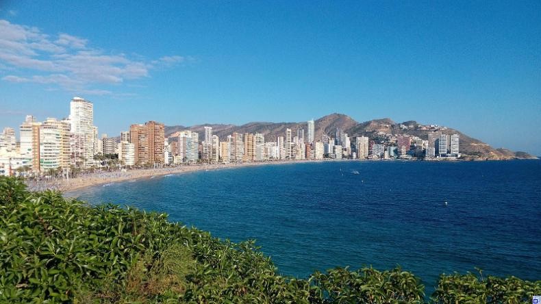 Bild: khdomnick / Pixabay Blick auf Hochhäuser am Strand, im Vordergrund Büsche und Sträucher.