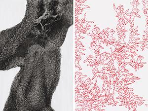 Bild von zwei Ausstellungsstücken