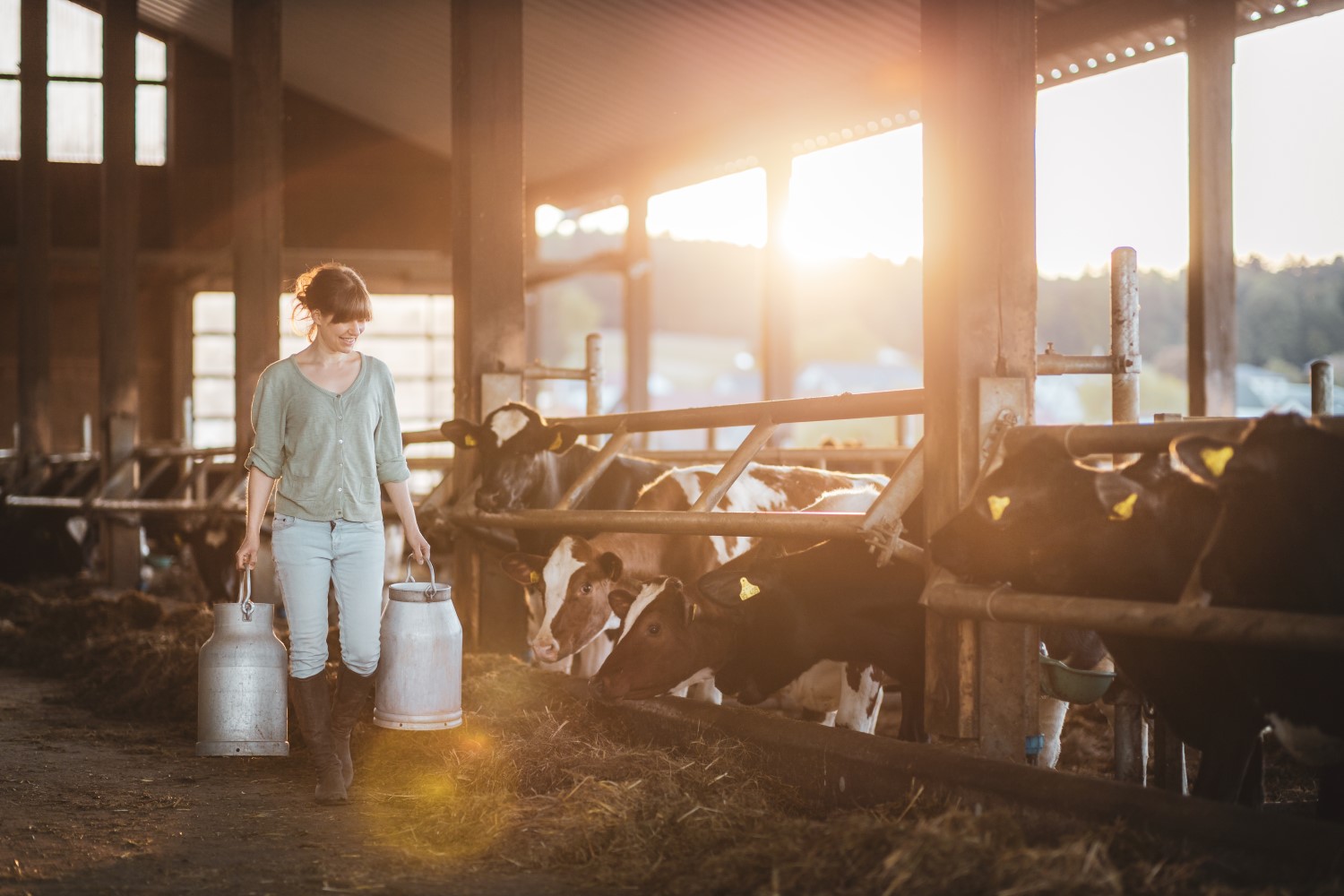 Ökologie, Tierwohl und bäuerliche Landwirtschaft – Pelin Yildiz vermarktet hochwertige Lebensmittel direkt vom Erzeuger 