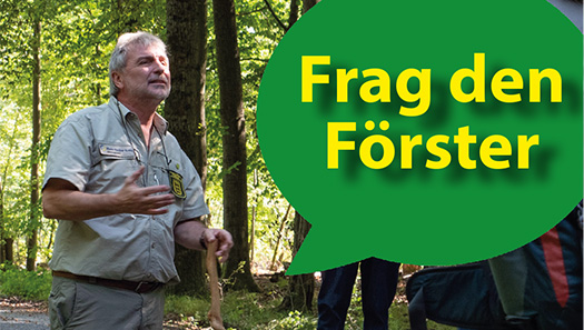 Förster im Gespräch