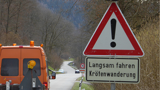 Verkehrsstraße mit Warnschild "Langsam fahren - Krötenwanderung"