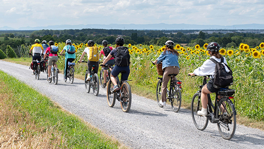 Radgruppe auf einen Feldweg