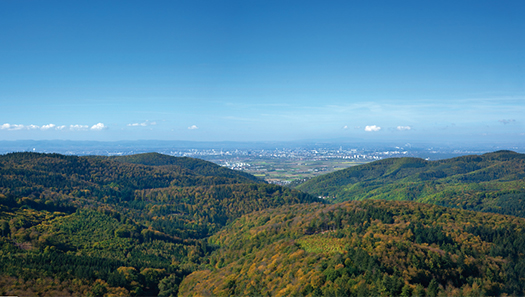 Odenwald-Panorama