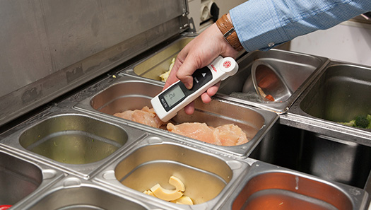 Lebensmittelkontrolleur prüft die Temperatur von Speisen