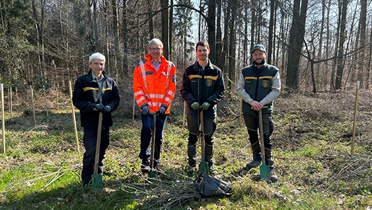 Landrat-Stellvertreter und Mitarbeiter des Kreisforstamtes bei der Pflanzaktion