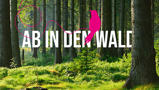 Waldmotiv mit der Aufschrift "Ab in den Wald"
