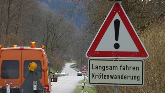 Achtung-Schild mit dem Zusatz "Langsam fahren - Krötenwanderung"