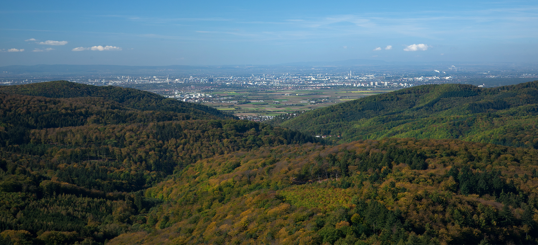 Blick vom Aussichtsturm über die Höhen des Odenwalds