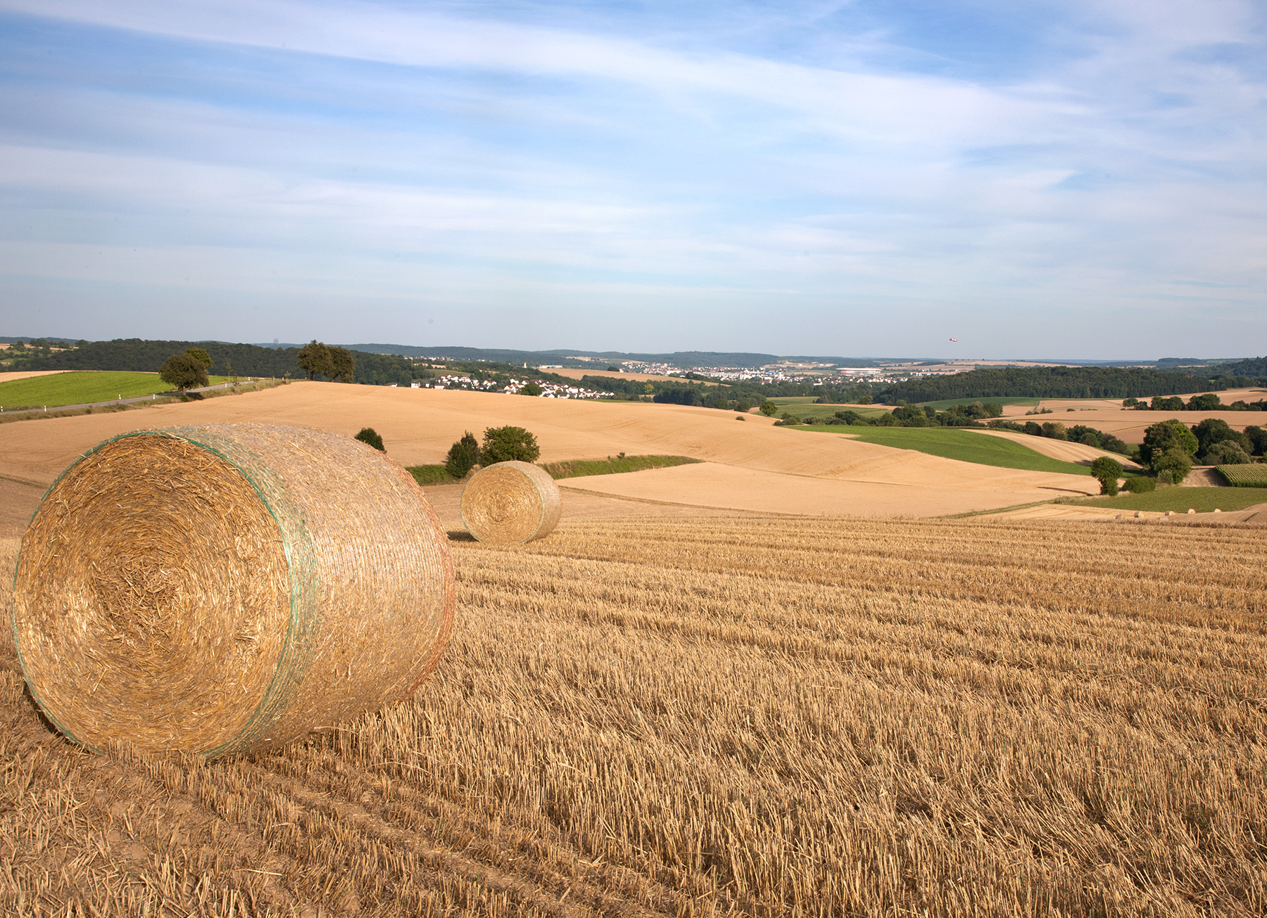 Getreidefeld im Kraichgau