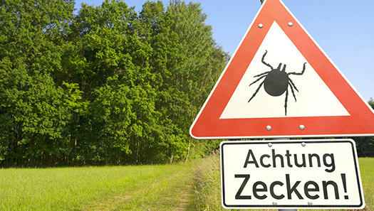 Warnschild "Achtung Zecken" am Waldrand