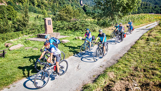 Fahrradgruppe auf einem Radweg