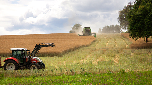Traktor auf einem Getreidefeld