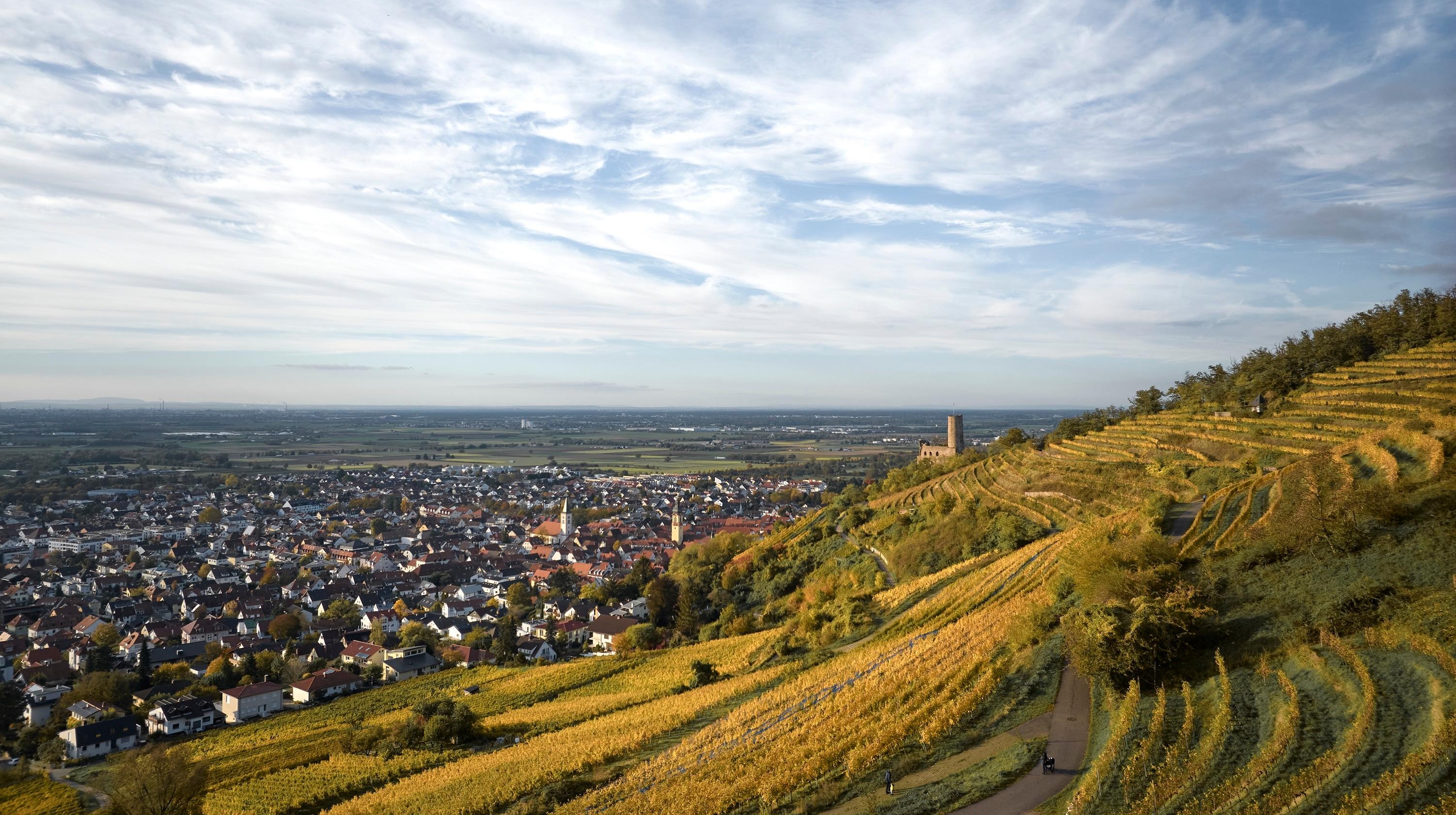 Luftbild des Rhein-Neckar-Kreises