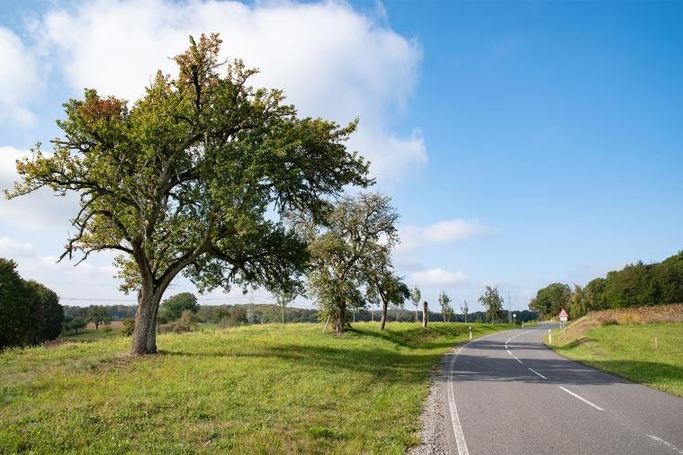 Kreisstrasse