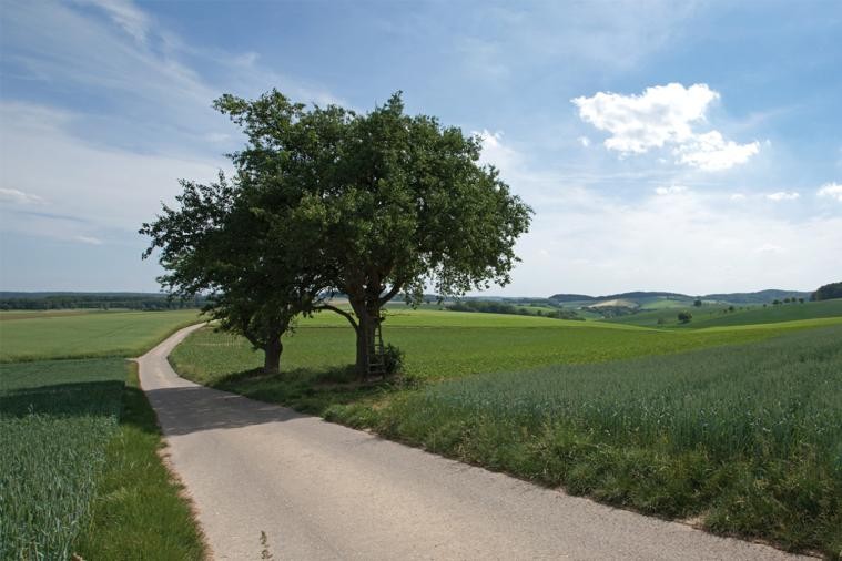 Feldweg im Kraichgau