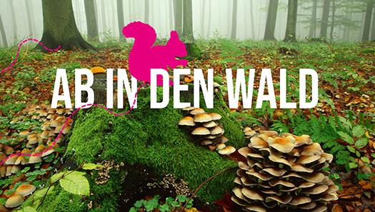 Waldmotiv