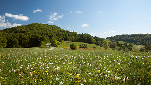 Blick in den Odenwald