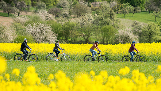 Gruppe Radfahrer