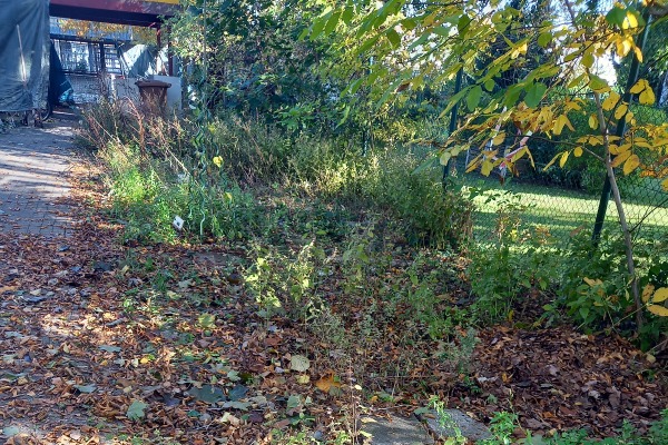 Wilde Ecke Wilde Ecke