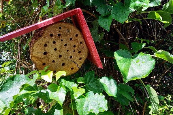 Insektenhotel Insektenhotel