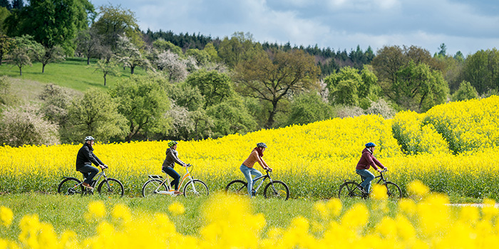 Gruppe Radfahrer vor blühendem Rapsfeld