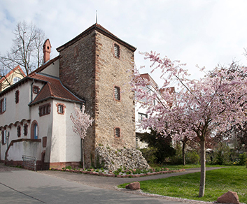 Stadtmauer in Wiesloch