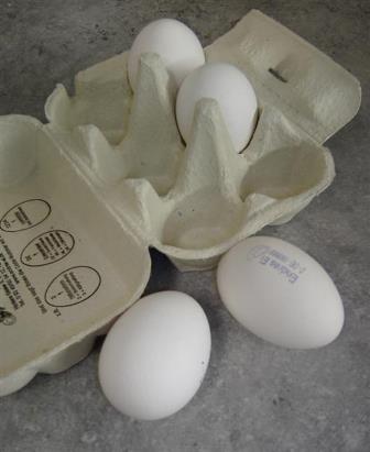 Eier in einer Schachtel