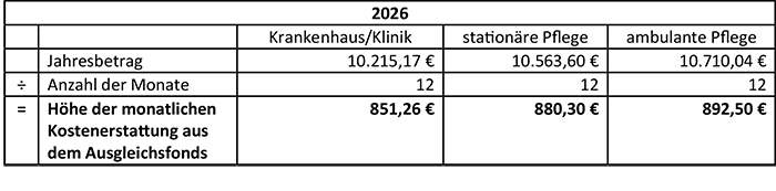Tabelle mit den Kosten der praktischen Ausbildung
